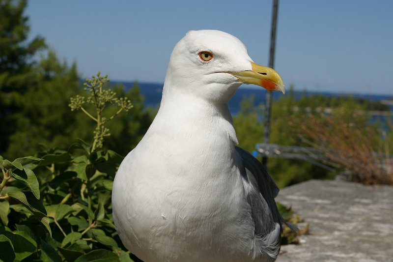 2012-09-20 12-06-18 Lisa.JPG